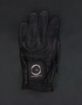 Picture of Frenzy Glove Black